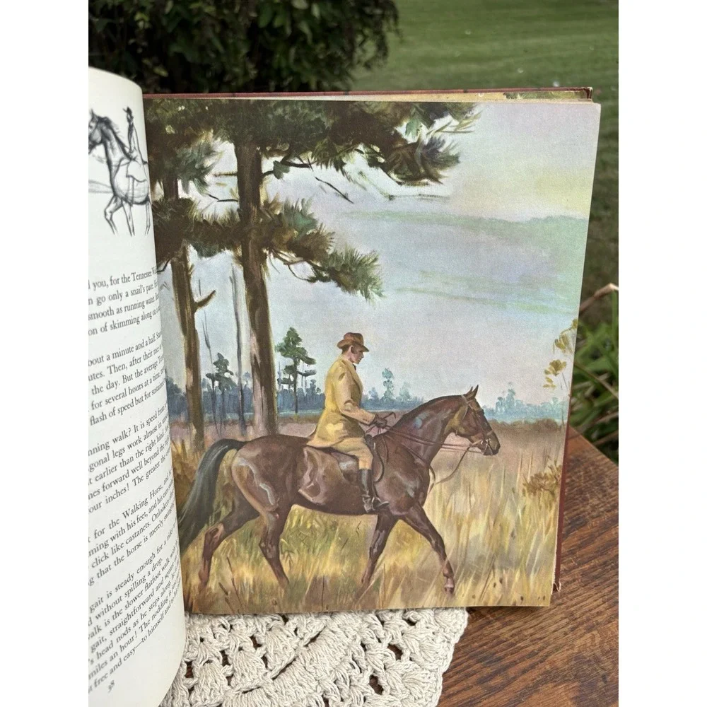 Vintage Book Album of Horses by Marguerite Henry 1969 Hardcover Amazing Artwork